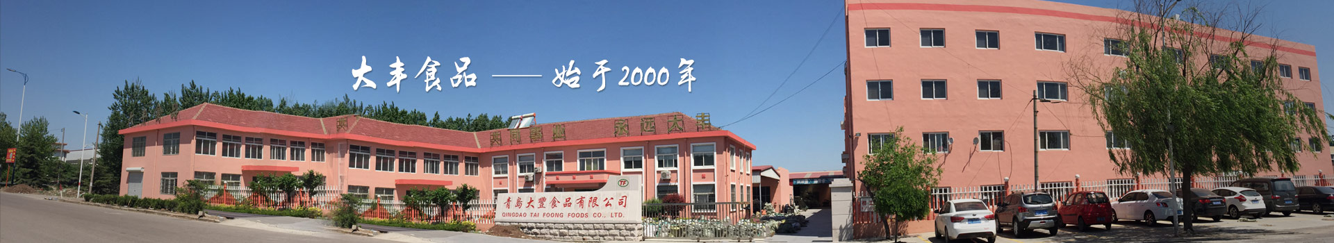 大豐食品，始于2000年